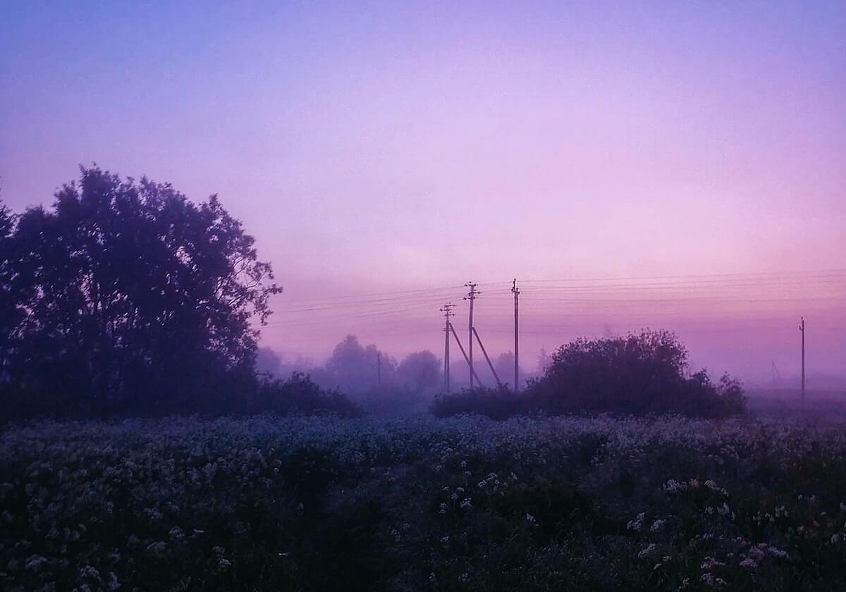 世界杯下载更新-日本球迷赛后自觉清理垃圾，温布利球场官号晒视频致谢